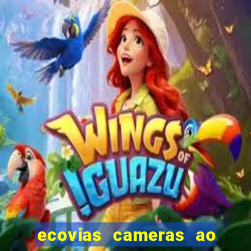 ecovias cameras ao vivo santos